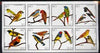 Iso - Sweden 1977 Birds (Red Bishop, Weaver, Cuban Finch, etc) imperf set of 8 values (20 to 350) unmounted mint