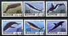 North Korea 1992 Whales & Dolphins complete set of 6 fine cto used, SG N3208-13*