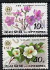North Korea 1992 Flowers (10ch & 40ch) from World Environment Day set of 8 fine cto used, SG N3200 & 3202*