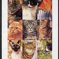 Kyrgyzstan 1998 Domestic Cats imperf sheetlet containing complete set of 9 values