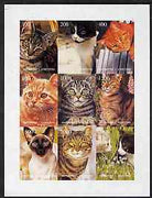Kyrgyzstan 1998 Domestic Cats imperf sheetlet containing complete set of 9 values