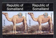 Somaliland 1997 Camel 1,500 SL (from Animal def set) unmounted mint imperf pair