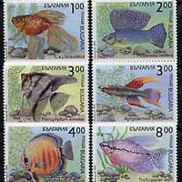 Bulgaria 1993 Fishes complete set of 6 unmounted mint, SG 3909-14, Mi 4049-54*