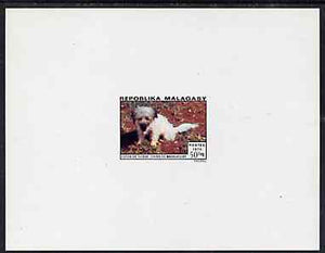Malagasy Republic 1974 Dogs 50f (Coton) imperf deluxe sheet on sunken card in full issued colours, as SG 289