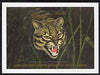 Guyana 1996? Endangered Wildlife of South America $150 m/sheet (Ocelot)