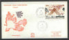 French Southern & Antarctic Territories 1987 Inmarsat Satellite on illustrated cover with first day cancel, SG 230