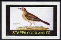 Staffa 1982 Birds #46 (Richard's Pipit) imperf deluxe sheet (£2 value) unmounted mint