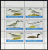 Bernera 1982 Birds #32 (Terns (5) & Diver) perf set of 6 values (15p to 75p) unmounted mint