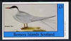 Bernera 1982 Sea Birds #02 (Roseate Tern) imperf souvenir sheet (£1 value) unmounted mint