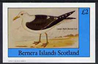 Bernera 1982 Sea Birds #02 (Lesser Black Backed Gull) imperf deluxe sheet (£2 value) unmounted mint
