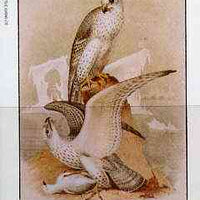 Staffa 1982 Birds #49 (Falcons) imperf deluxe sheet (£2 value) unmounted mint