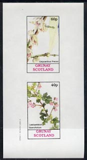 Grunay 1982 Flowers #03 (Calycanthus & Lasiopetalum) unmounted mint imperf set of 2 (40p & 60p)