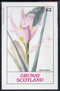 Grunay 1982 Flowers #03 (Musa) unmounted mint imperf deluxe sheet (£2 value)