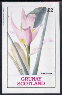 Grunay 1982 Flowers #03 (Musa) unmounted mint imperf deluxe sheet (£2 value)