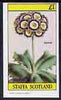 Staffa 1982 Auricula imperf souvenir sheet (£1 value) unmounted mint