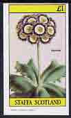 Staffa 1982 Auricula imperf souvenir sheet (£1 value) unmounted mint