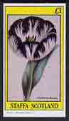 Staffa 1982 Flowers #16 (Chellaston Beauty) imperf,souvenir sheet (£1 value) unmounted mint