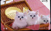 Telephone Card - Japan 50 units phone card showing Three Kittens in Basket (card dated 1.6.1989)