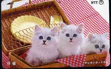 Telephone Card - Japan 50 units phone card showing Three Kittens in Basket (card dated 1.6.1989)