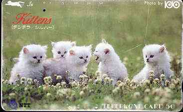 Telephone Card - Japan 50 units phone card showing Five White Kittens in Field (card dated 1.11.1988)
