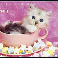 Telephone Card - Japan 50 units phone card showing Kitten in Tea Cup (card dated 1.12.1990)