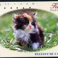 Telephone Card - Japan 50 units phone card showing Kitten in Oval Frame (card dated 1.2.1990)