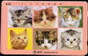 Telephone Card - Japan 105 units phone card showing Six Portraits of Cats (card dated 15.9.1991)