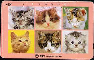 Telephone Card - Japan 105 units phone card showing Six Portraits of Cats (card dated 15.9.1991)
