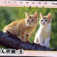 Telephone Card - Japan 105 units phone card showing Two Cats on Branch (card dated 15.6.1990)