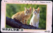 Telephone Card - Japan 105 units phone card showing Two Cats on Branch (card dated 15.6.1990)
