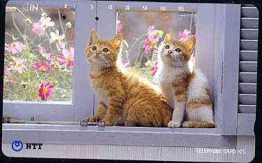 Telephone Card - Japan 105 units phone card showing Two Kittens on Window Cill (card dated 1.4.1992)