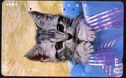 Telephone Card - Japan 105 units phone card showing Kitten in Festive Box (vert) (card dated 15.7.1990)