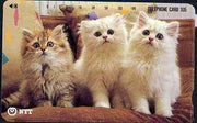 Telephone Card - Japan 105 units phone card showing Three Kittens on Sofa (card dated 15.2.1992)