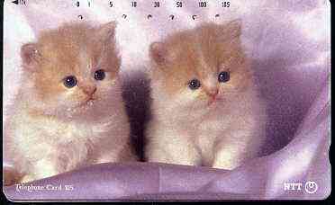 Telephone Card - Japan 105 units phone card showing Two Kittens in Silk Bed (card dated 20.7.1992)
