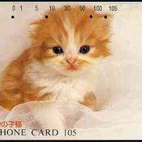 Telephone Card - Japan 105 units phone card showing Kitten in White Bed (card dated 1.3.1991)