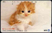 Telephone Card - Japan 105 units phone card showing Kitten in White Bed (card dated 1.3.1991)