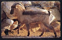Telephone Card -Oman 5r phone card showing The Arabian Tahr (The Rare and The Beautiful)