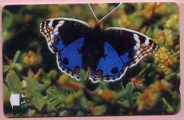 Telephone Card -Oman 3r phone card showing Blue Pansy #1 Butterfly