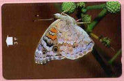 Telephone Card -Oman 3r phone card showing Blue Pansy #2 Butterfly