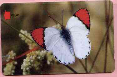 Telephone Card -Oman 5r phone card showing Scarlet Red Tip Butterfly