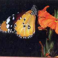 Telephone Card -Oman 1.5r phone card showing Plain Tiger Butterfly