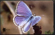 Telephone Card -Oman 5r phone card showing Mediterranean Pierrot Butterfly