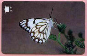 Telephone Card -Oman 3r phone card showing Caper White Butterfly