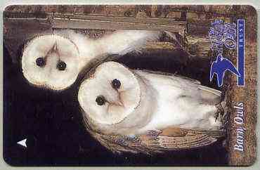 Telephone Card - Jersey £2 phone card showing Barn Owls (The Hawk & Owl Trust)