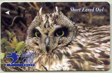 Telephone Card - Jersey £2 phone card showing Short Eared Owl (The Hawk & Owl Trust)