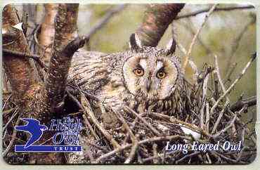 Telephone Card - Jersey £2 phone card showing Long Eared Owl (The Hawk & Owl Trust)