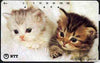 Telephone Card - Japan 105 units phone card showing two Kittens (card dated 1.12.1995)