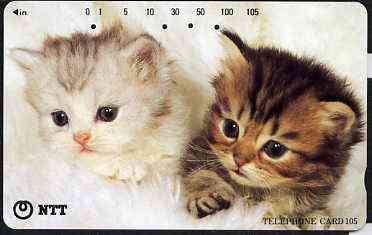 Telephone Card - Japan 105 units phone card showing two Kittens (card dated 1.12.1995)