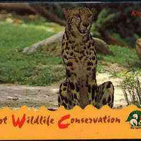 Telephone Card - Singapore $20 phone card showing King Cheetah (Wildlife Conservation Series)