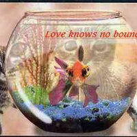 Telephone Card - Singapore $20 phone card showing 2 Kittens & Goldfish Bowl (Love knows no boundaries)